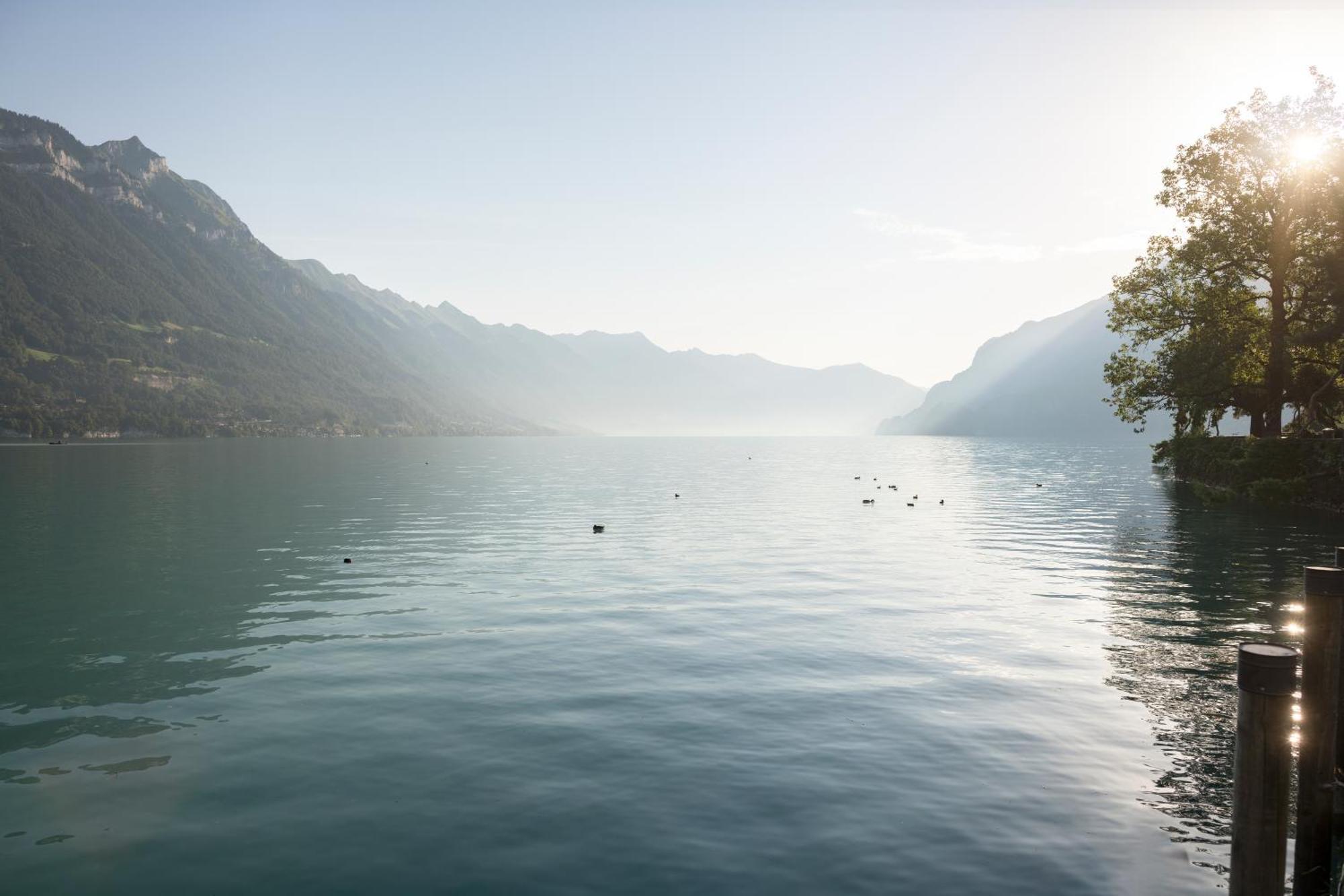 Seiler Au Lac Bonigen Exterior photo